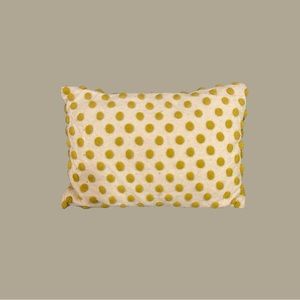 Anthropologie Throw Pillow
